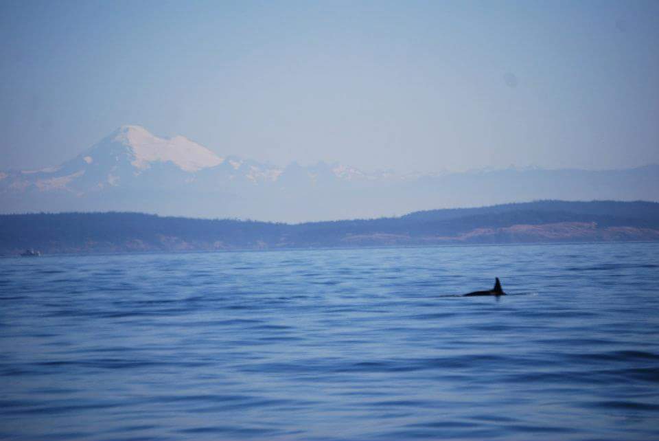 FB_IMG_1457361333499