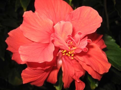 216161_1039972654073_2941_n