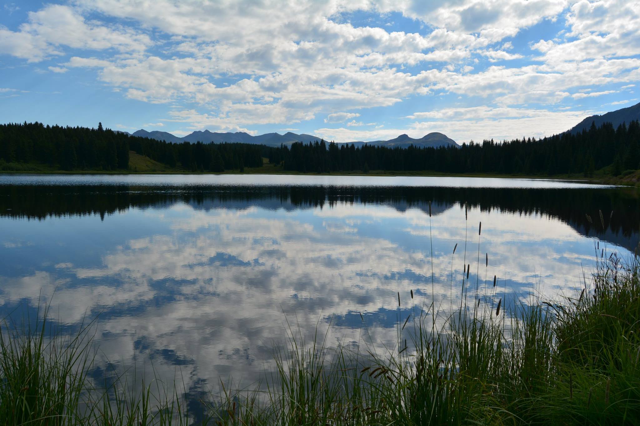 14124496_10208945609791988_3735984800720575961_o