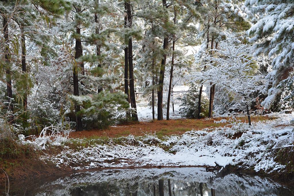 24879751_1755904061380442_6577371786343761498_o