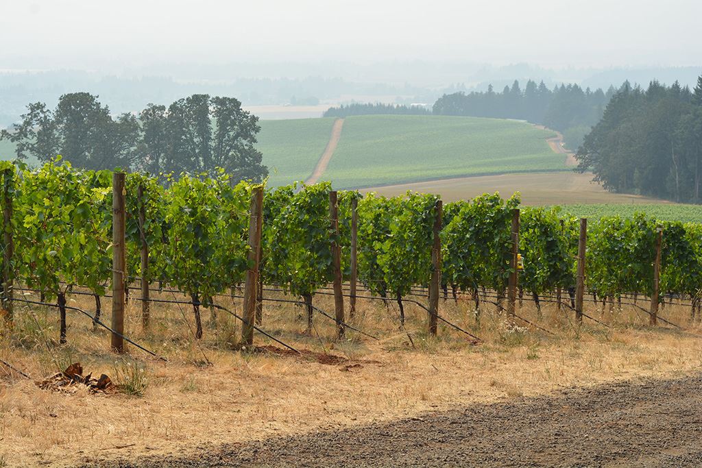 20863394_10212246547113358_327279916578252919_o