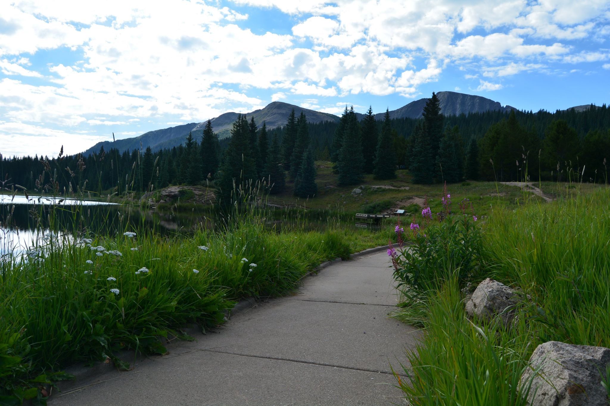 14125731_10208945609351977_8316288418017021193_o